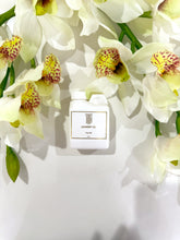 Load image into Gallery viewer, Tulum Laundry Detergent 4 oz
