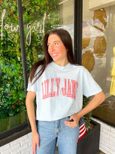 Load image into Gallery viewer, Lilly Jane Gingham Graphic - Light Blue/Red
