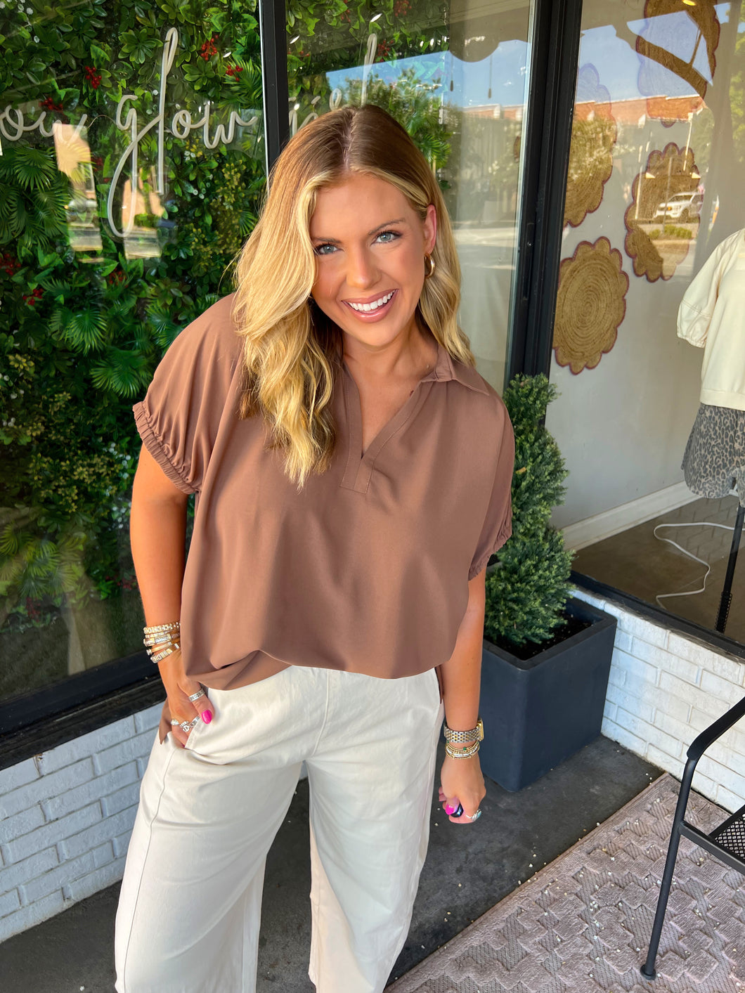 Liz Collared V-Neck Blouse - Brown