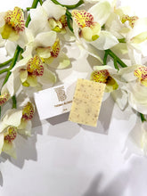 Load image into Gallery viewer, Exfoliating Body Bar - Blonde
