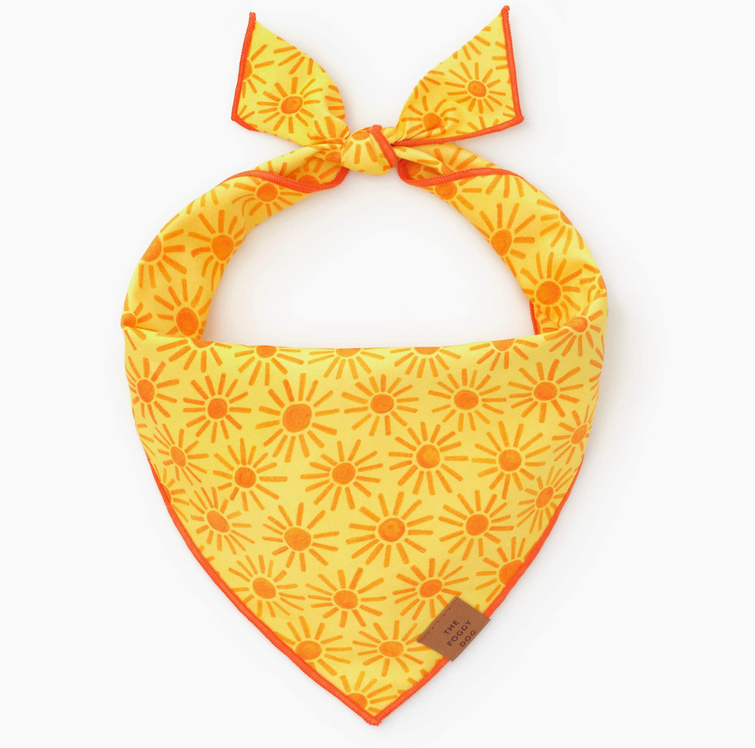Here Comes The Sun Dog Bandana - Foggy Dog