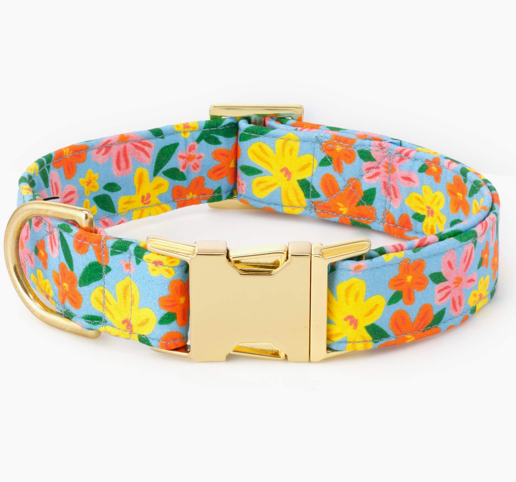 Island Time Dog Collar - Foggy Dog