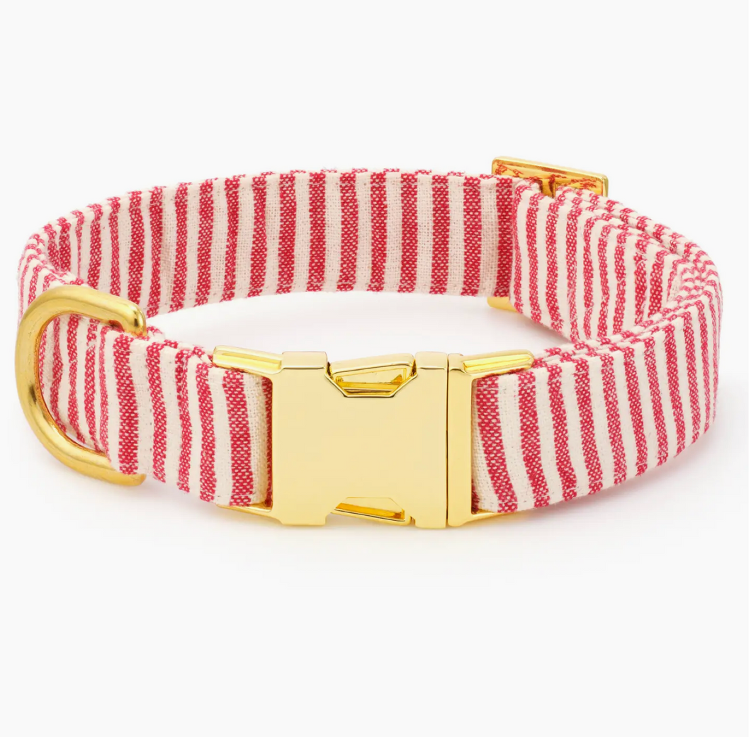 Red Stripe Dog Collar - Foggy Dog