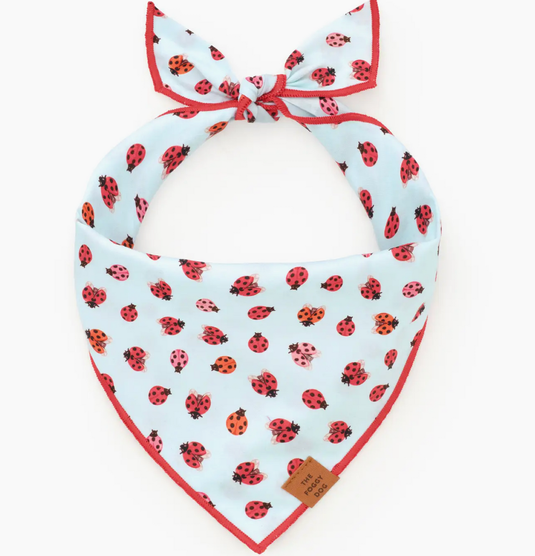 Love Bug Dog Bandana - Foggy Dog
