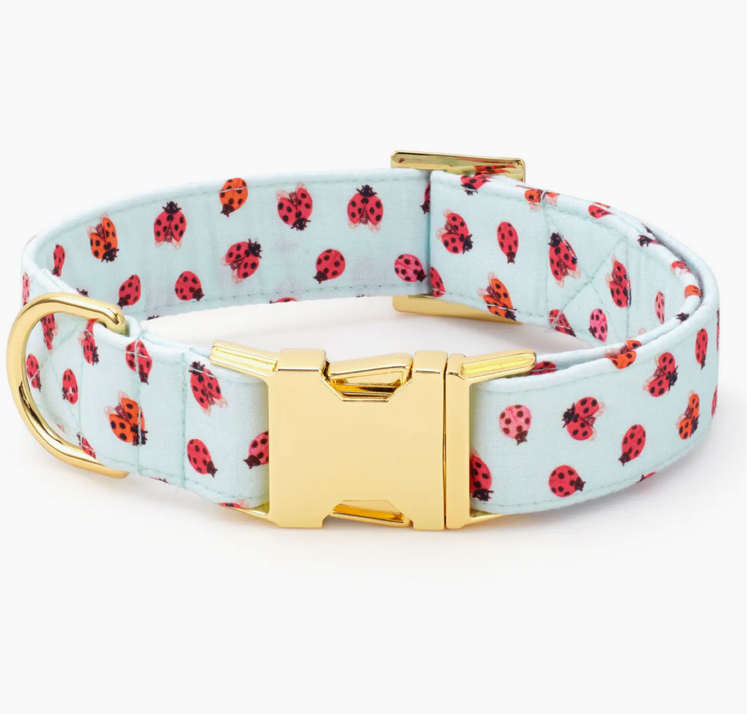 Love Bug Dog Collar - Foggy Dog