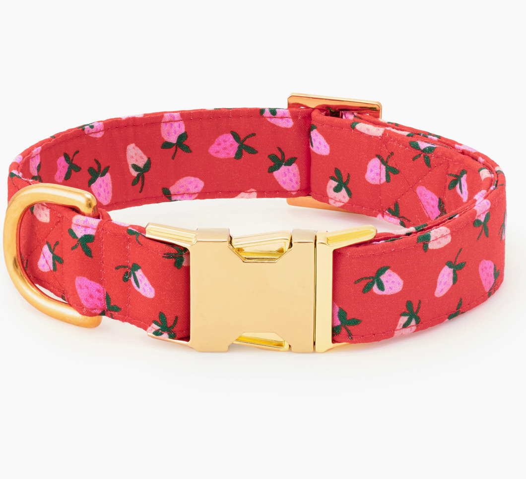 Berry Sweet Dog Collar - Foggy Dog