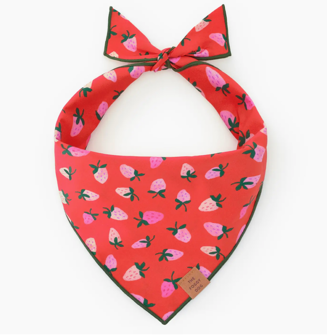 Berry Sweet Dog Bandana - Foggy Dog