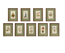 Load image into Gallery viewer, Botanical Stripe Wooden Frame Wall Art- Teal/Green
