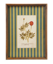 Load image into Gallery viewer, Botanical Stripe Wooden Frame Wall Art- Teal/Green
