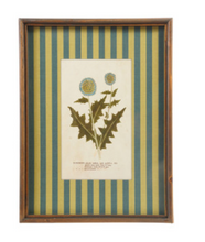 Load image into Gallery viewer, Botanical Stripe Wooden Frame Wall Art- Teal/Green
