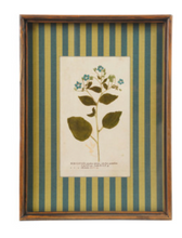 Load image into Gallery viewer, Botanical Stripe Wooden Frame Wall Art- Teal/Green
