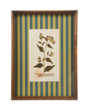 Load image into Gallery viewer, Botanical Stripe Wooden Frame Wall Art- Teal/Green
