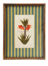 Load image into Gallery viewer, Botanical Stripe Wooden Frame Wall Art- Teal/Green
