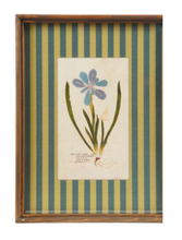 Load image into Gallery viewer, Botanical Stripe Wooden Frame Wall Art- Teal/Green
