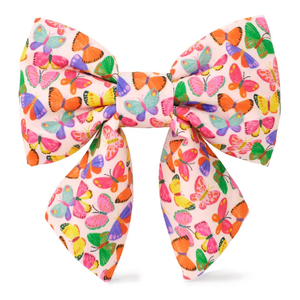 Bright Butterfly Dog Bow - Foggy Dog