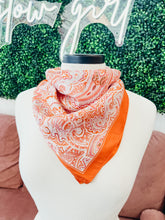 Load image into Gallery viewer, Various Scarf Bandanas
