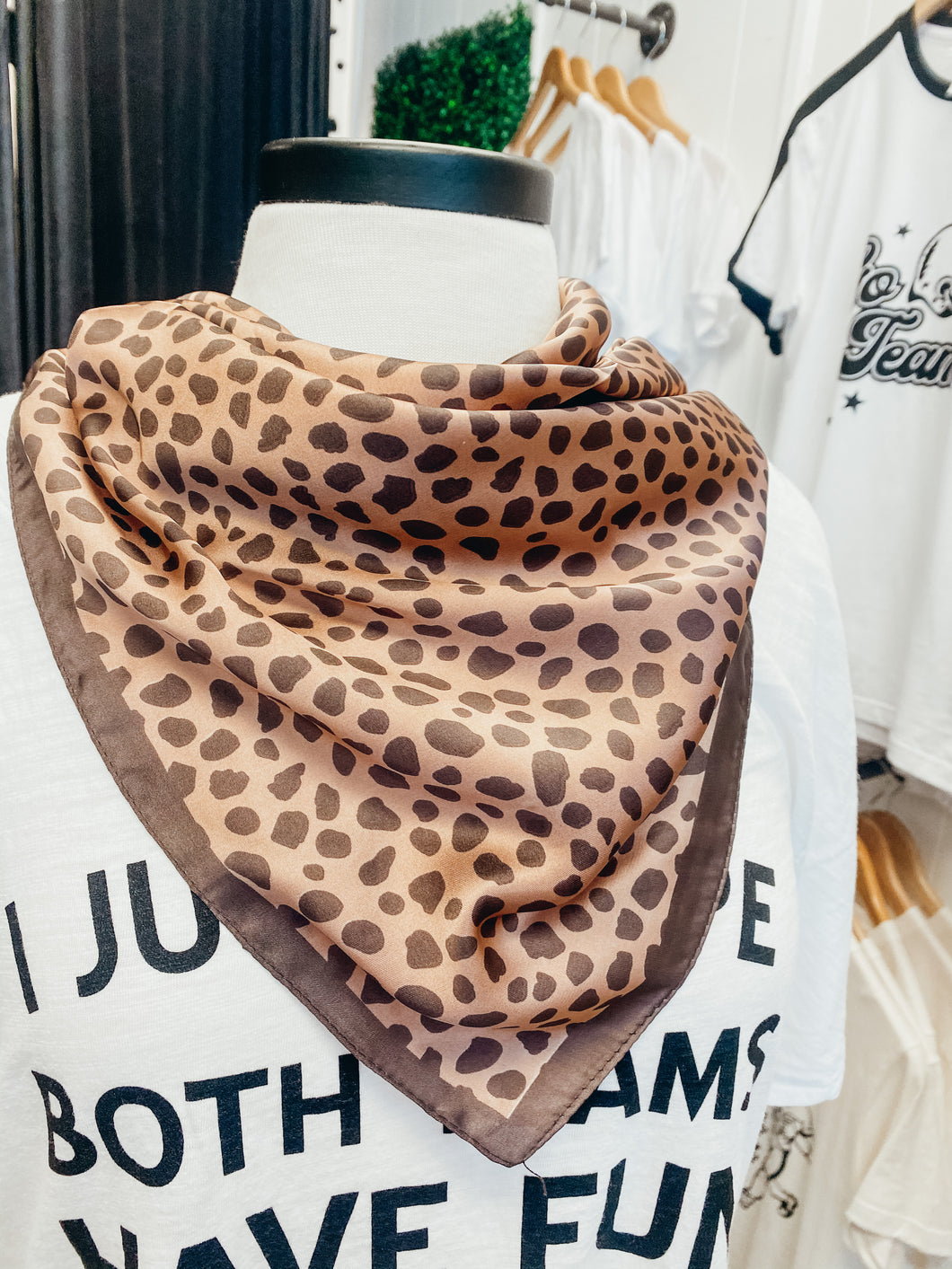 Various Scarf Bandanas